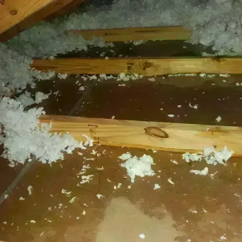 Attic Water Damage in Lincoln County, CO