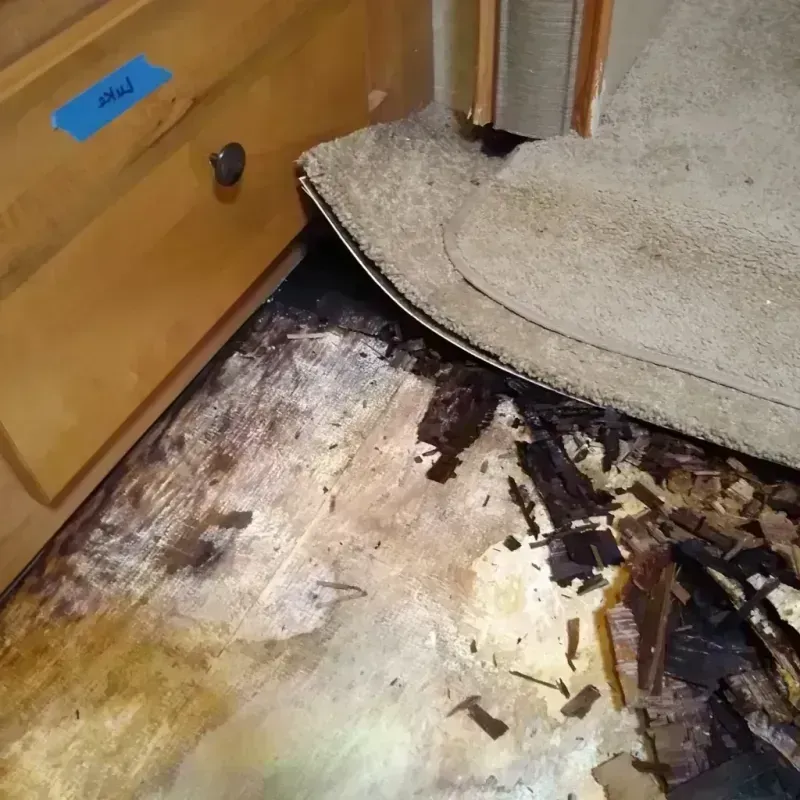 Wood Floor Water Damage in Lincoln County, CO